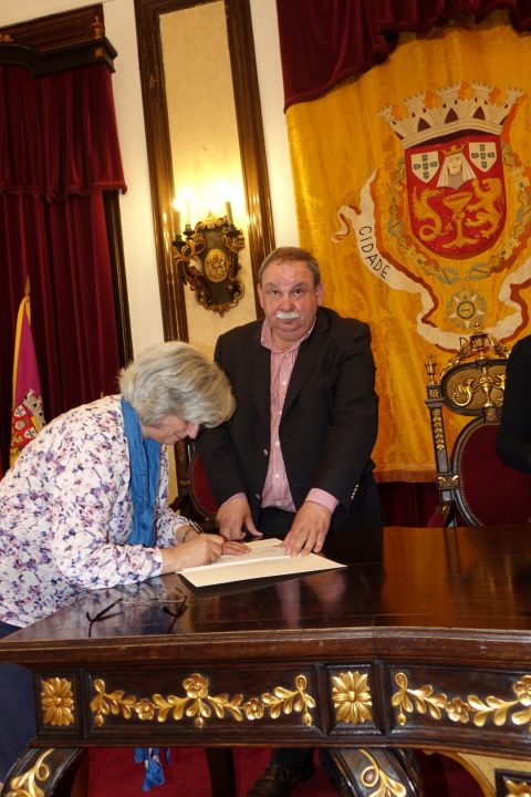 Protocolos 183 Large